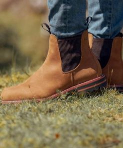 Jaspergoods.shop62a3cc4205 3