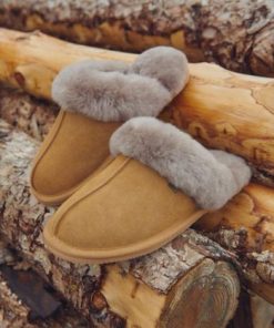 Jaspergoods.shop720cfc9cd2 3